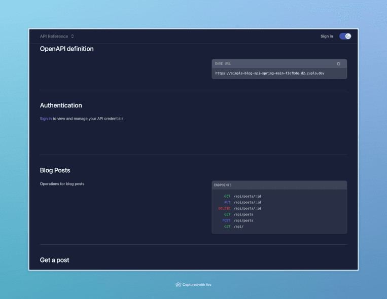 API developer portal